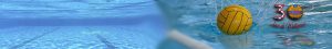 cropped-31.jpg